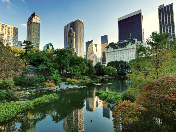 View of Central Park